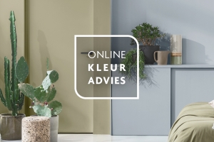 Gratis online kleuradvies