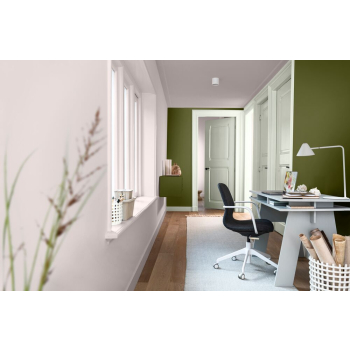 Thuiskantoor met groene muren