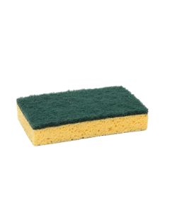 Schuurspons-V74-web.jpg