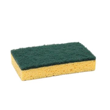 Schuurspons-V74-web.jpg