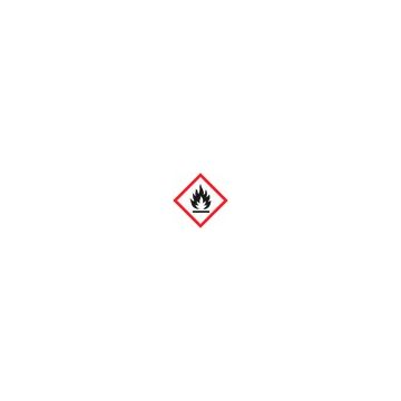 https://www.ez-catalog.nl/Asset/b80b54f716e84fa69222dbadd210a0e4/GalleryPreviewIcon/Flame.jpg